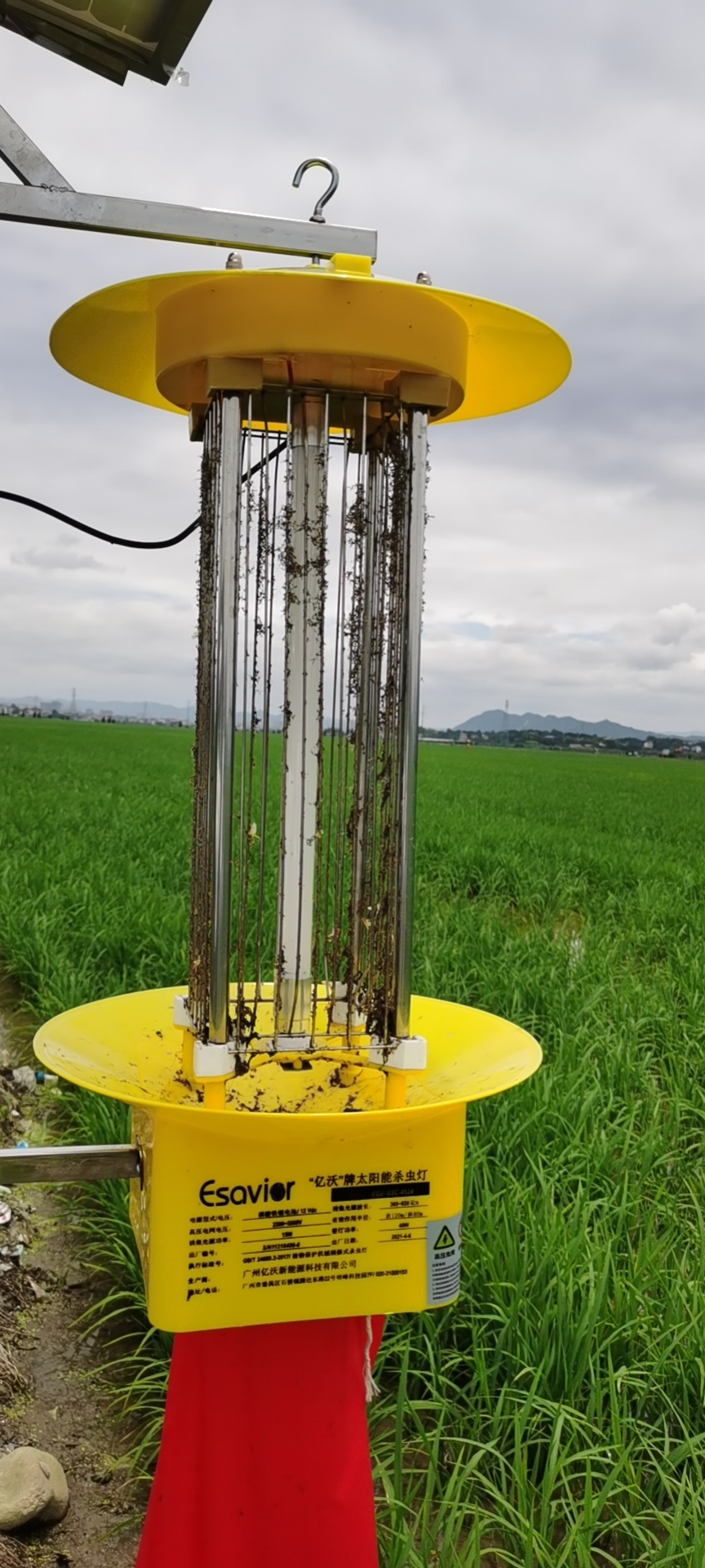 果园里害虫太多怎么办？太阳能杀虫灯既省钱又有效