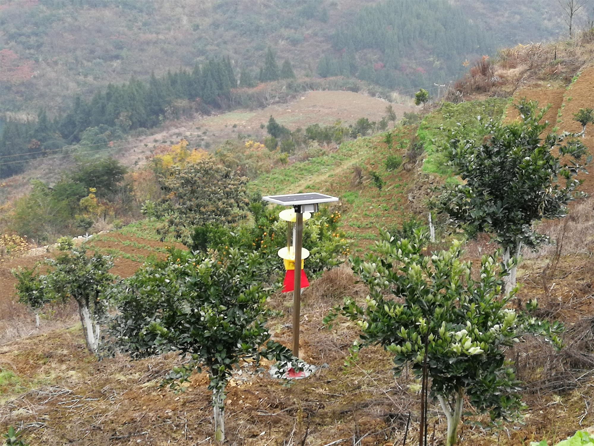 太阳能杀虫灯控制器怎么调？购买时你心仪的价格是多少？