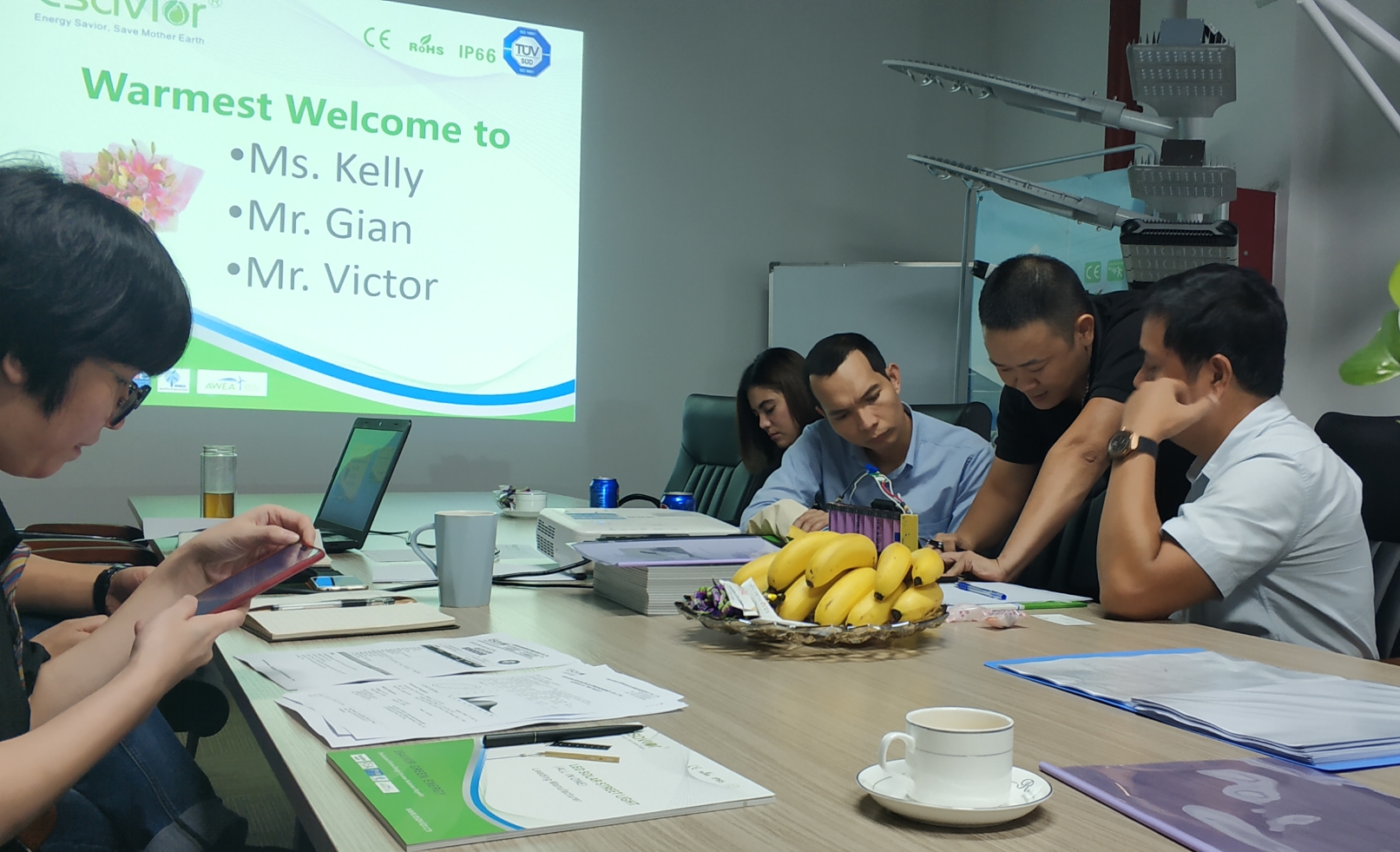 太阳能庭院灯的设计方案怎么出？