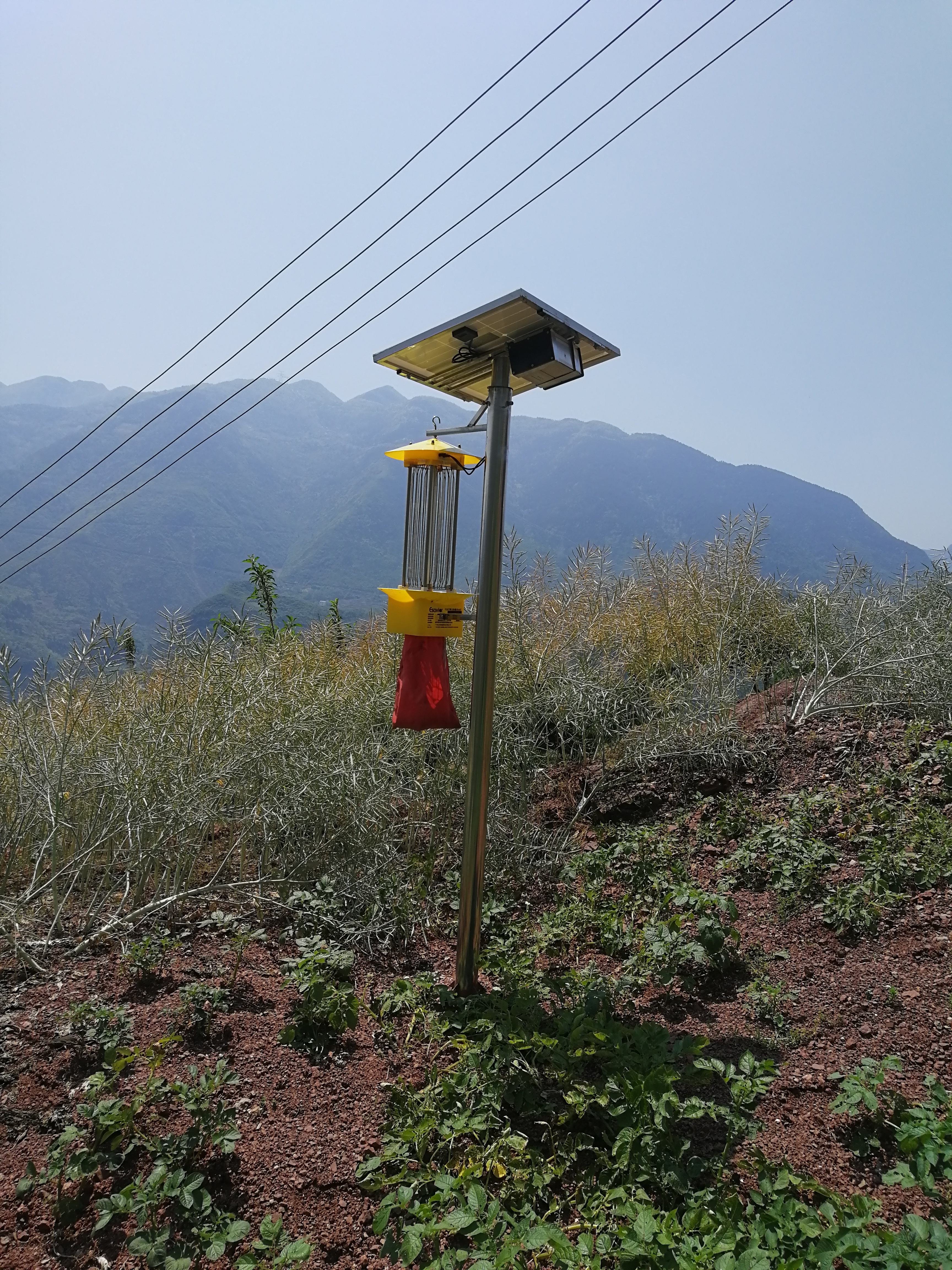 太阳能杀虫灯有作用吗？去哪里购买比较好？