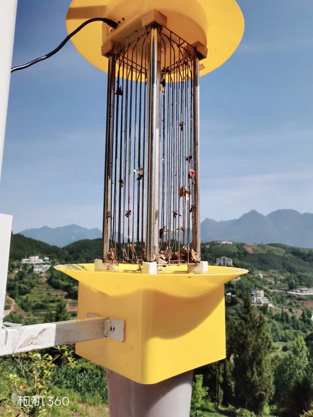 公园里随处可见的太阳能杀虫灯真的有效果吗？