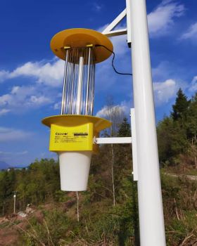 2022042 太阳能杀虫灯路灯二合一