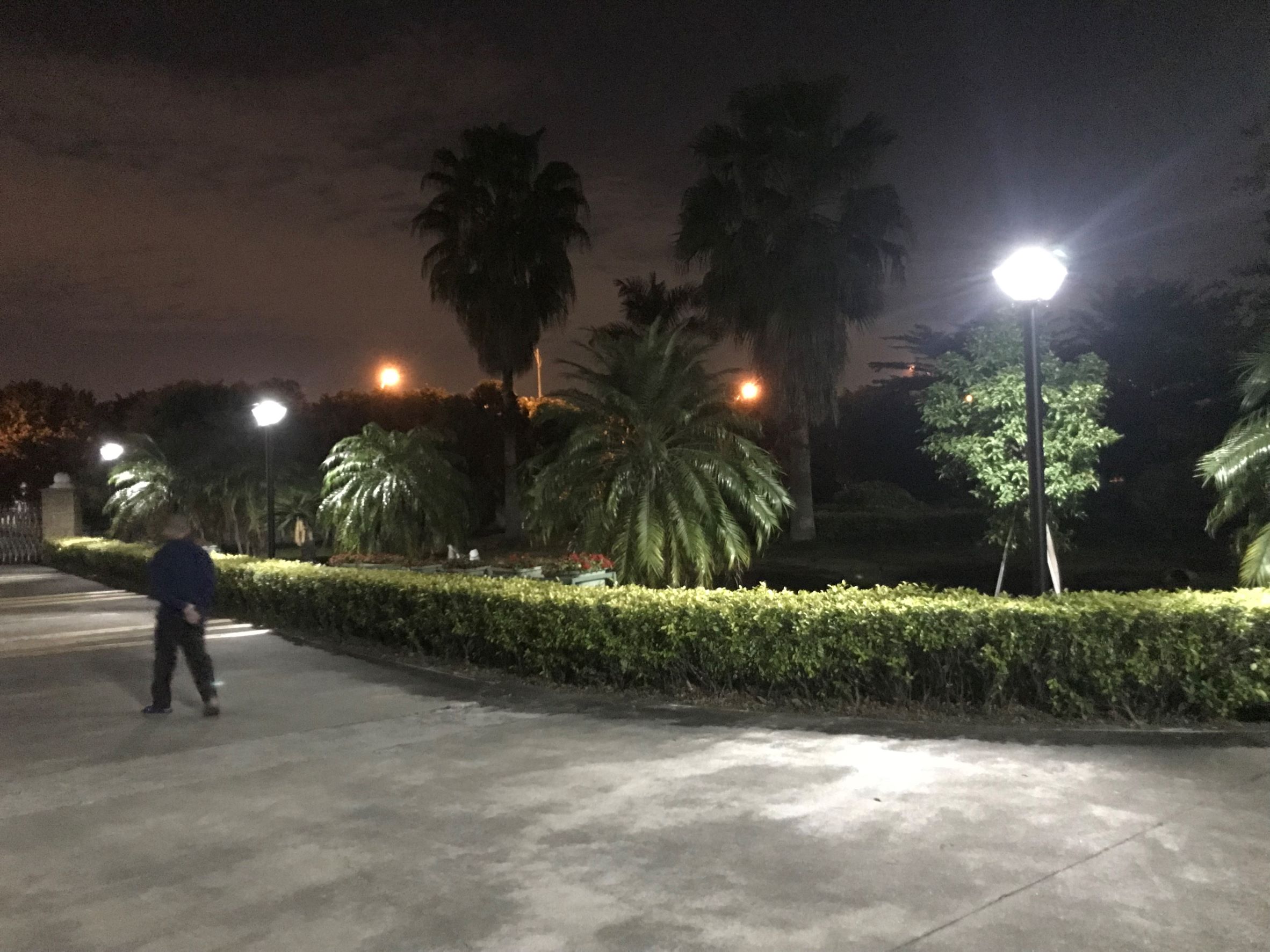 太阳能庭院灯正在慢慢走进千家万户